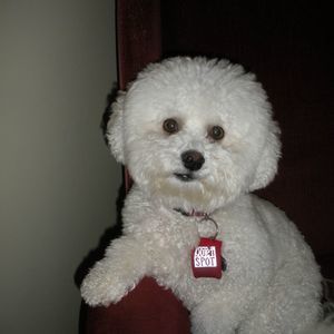 Meet your Posher, Ed